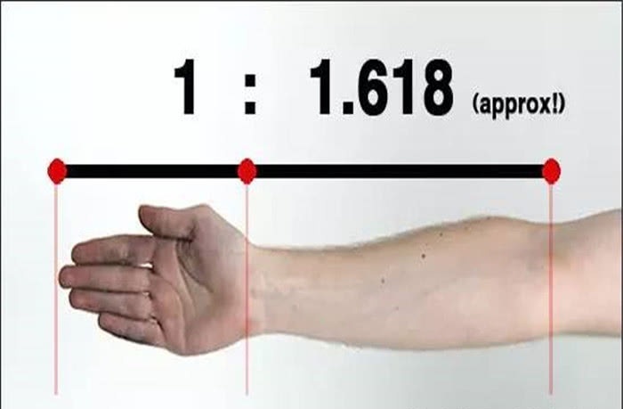 机电网站seo优化方法