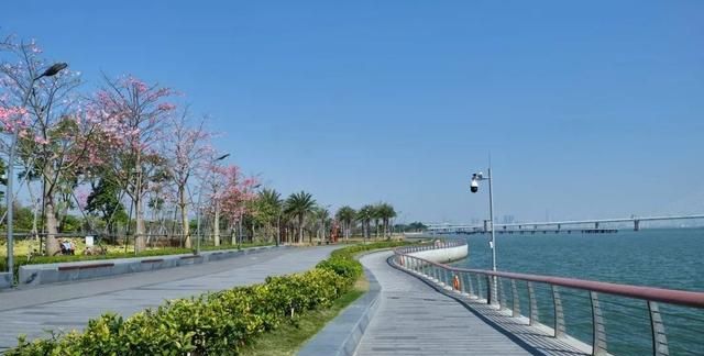 堪比"夏威夷",深圳这片海域太美了!|海上世界|蛇口|临海_新浪新闻