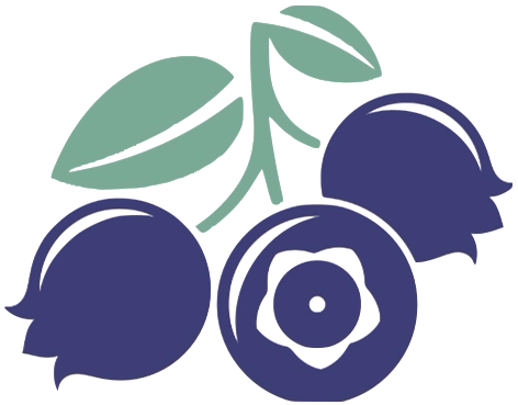 大节时大家所追求的;极品佳酿蓝穗丰蓝莓酒由100%蓝莓原材料新鲜酿制