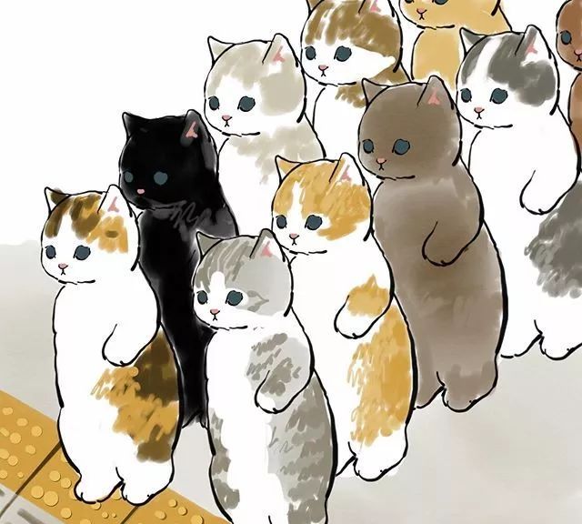 如果猫猫过上朝九晚五的社畜生活,会是什么样子…太可爱了!