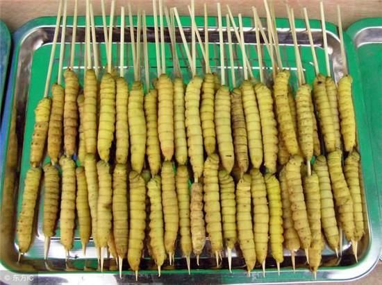 下面是几道豆虫菜肴,大家随意感受一下