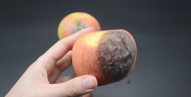 苹果烂了一小块削掉以后剩下部分能不能吃好多人还不清楚