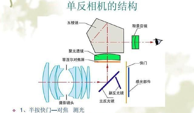 「百家号鼠你红」照片模糊的10个原因,方案全送你,新手不求人