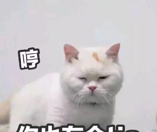 亲密关系的本质探讨，如何自然激发两性吸引力