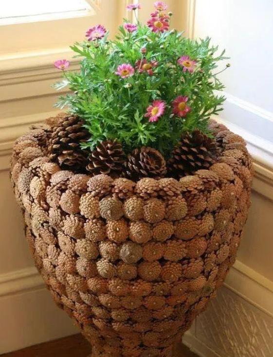 捡回家的松塔怎么处理?将它们做成盆栽,可镇宅招财,提升档次