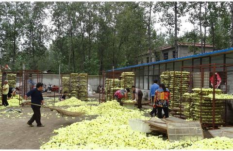 冬哥是什么电视剧中的人物 石蕊的基本信息有哪些