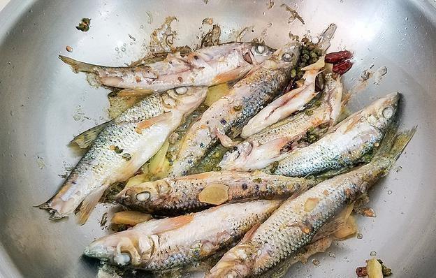 我们这儿叫它"虫虫鱼",肉质鲜美鱼唇独特,野生的80元1斤