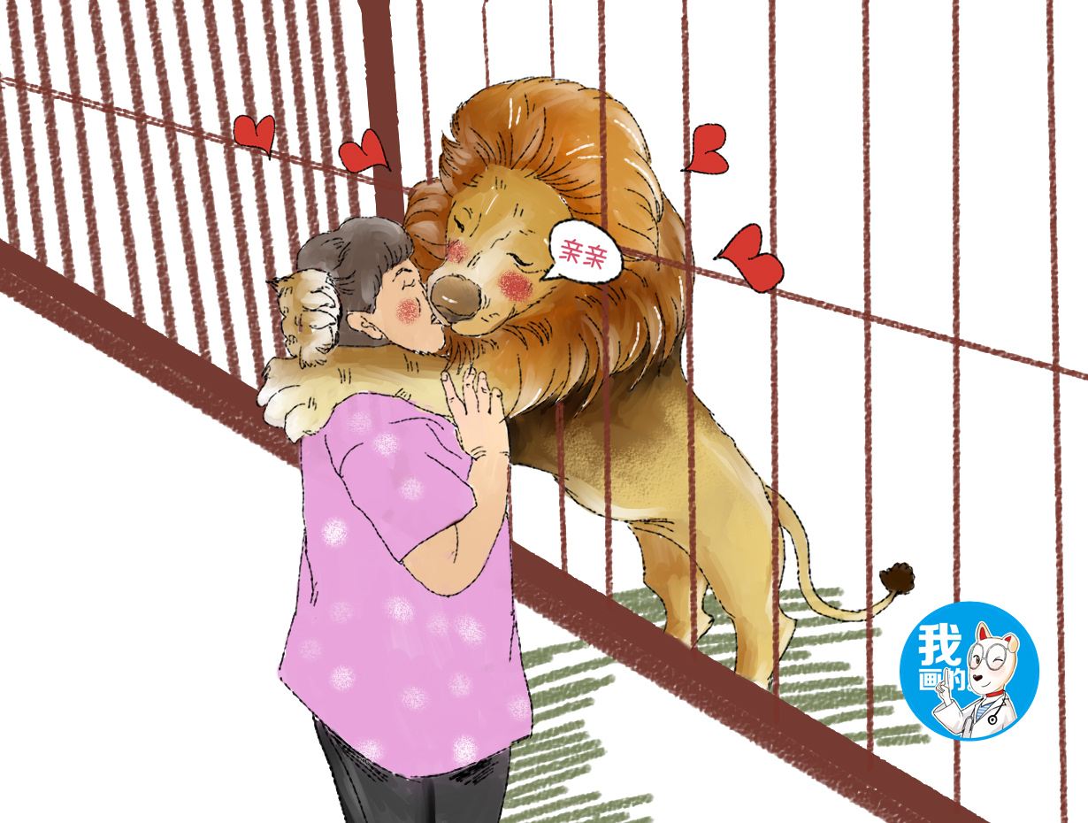 女子看到一堆人围观狮子,好奇上前一瞧,看清后:这画风不太对?