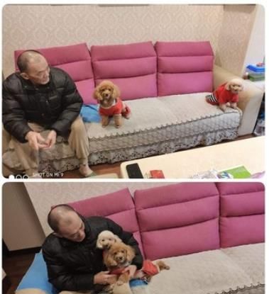 爸爸转性左搂右抱穿情侣装