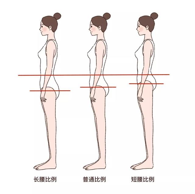 想要拥有窈窕曲线,得懂得学会按照腰型来穿搭,做对了显瘦又显高