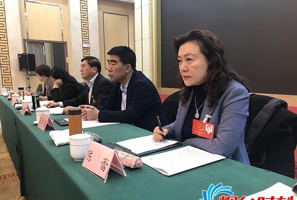 聚焦省两会烟台代表团团组会议接受集中采访