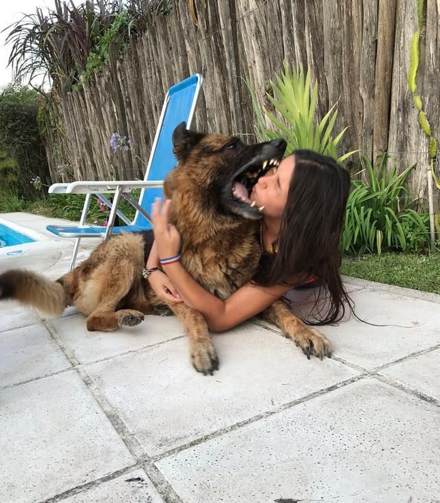 女主人抱着德牧狗狗拍照,下秒脸上被咬一口,她缝了40针