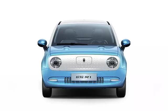 一片质疑之中，它们已经是最拿得出手的了——2019年新能源车前十