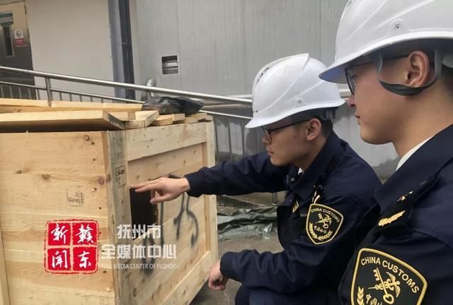 瘤鞘薪甲(aridius nodifer)属鞘翅目薪甲科,体长为1～2毫米,呈暗褐色