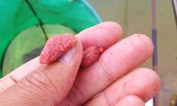 「创作开运礼」野钓遇上刮风天,用这几招巧应对|抛竿|饵料|鱼_新浪