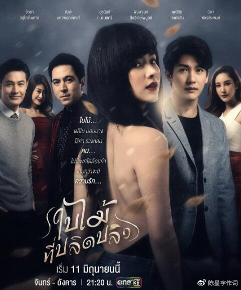 2019泰国one31泰剧收视排行榜吹落的树叶新铁石心肠等剧抢眼