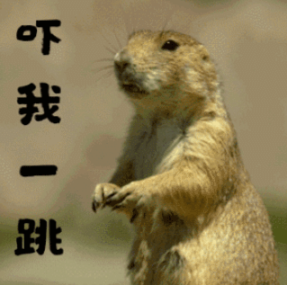 因此土拨鼠的表情包也就越来越多,总之只要是