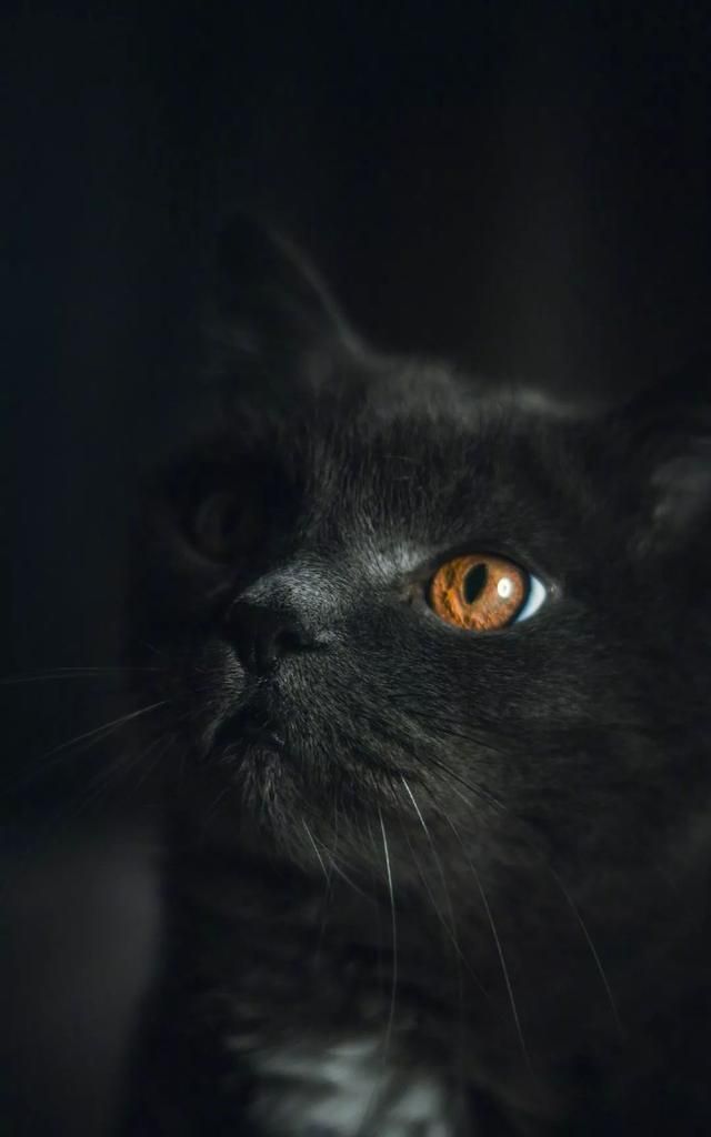 手机壁纸高清黑色系个性锁屏壁纸