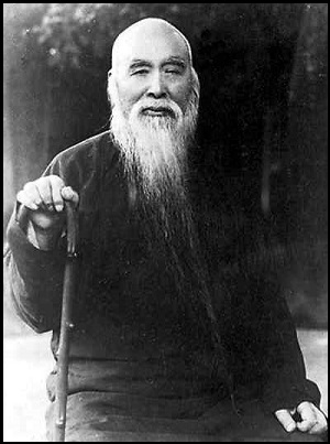 书法问集563林散之能和王羲之张旭并称为草圣三大家吗