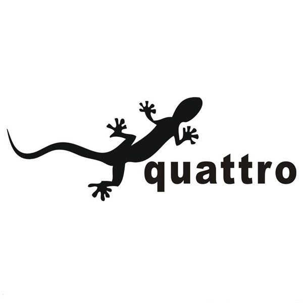 开创冰雪试驾先河 奥迪quattro“小壁虎”影响了中国3代人