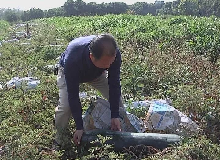 走进揭阳惠来冬瓜种植基地 分享瓜农收获的欢乐 冬瓜 陈永青 瓜农 新浪新闻