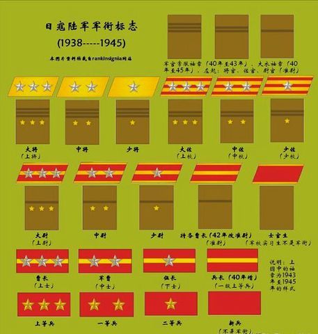 晋升至兵长,伍长,军曹,曹长,到曹长,就是日军士兵的最高军衔,但也只是