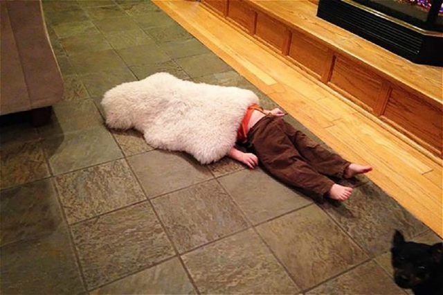 为了能把自己藏起来这小宝宝们真的尽力了可把妈妈给笑坏了