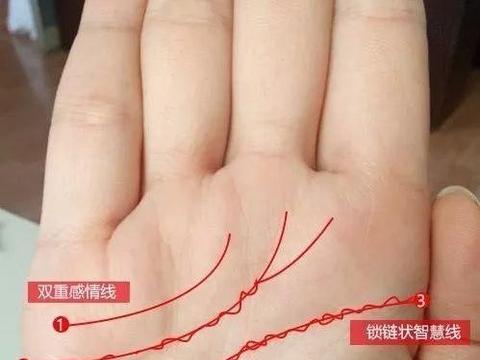 女人的手纹特别乱有什么预示？|掌纹|生命线|女性|辅助线|手相_新浪新闻