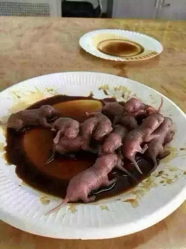 甲鱼|铁板|猴脑_新浪新闻