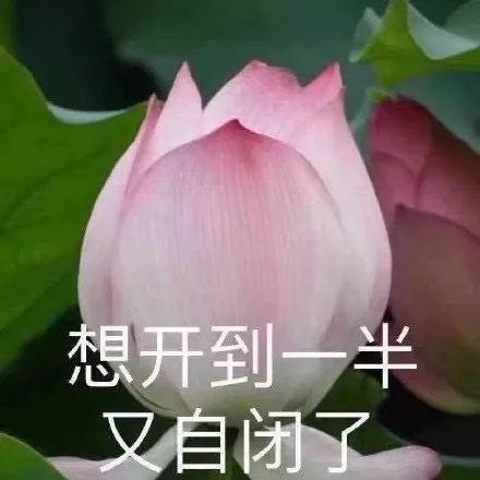 财经头条