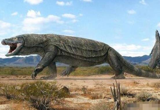 8米,头骨长2000毫米以上,体型比中生代的恐鳄更大.