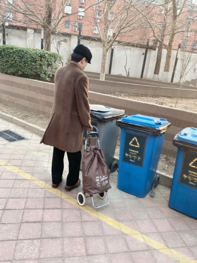 沈腾新年手提购物车买菜打扮似大妈,一岁儿子躺地上撒娇萌翻