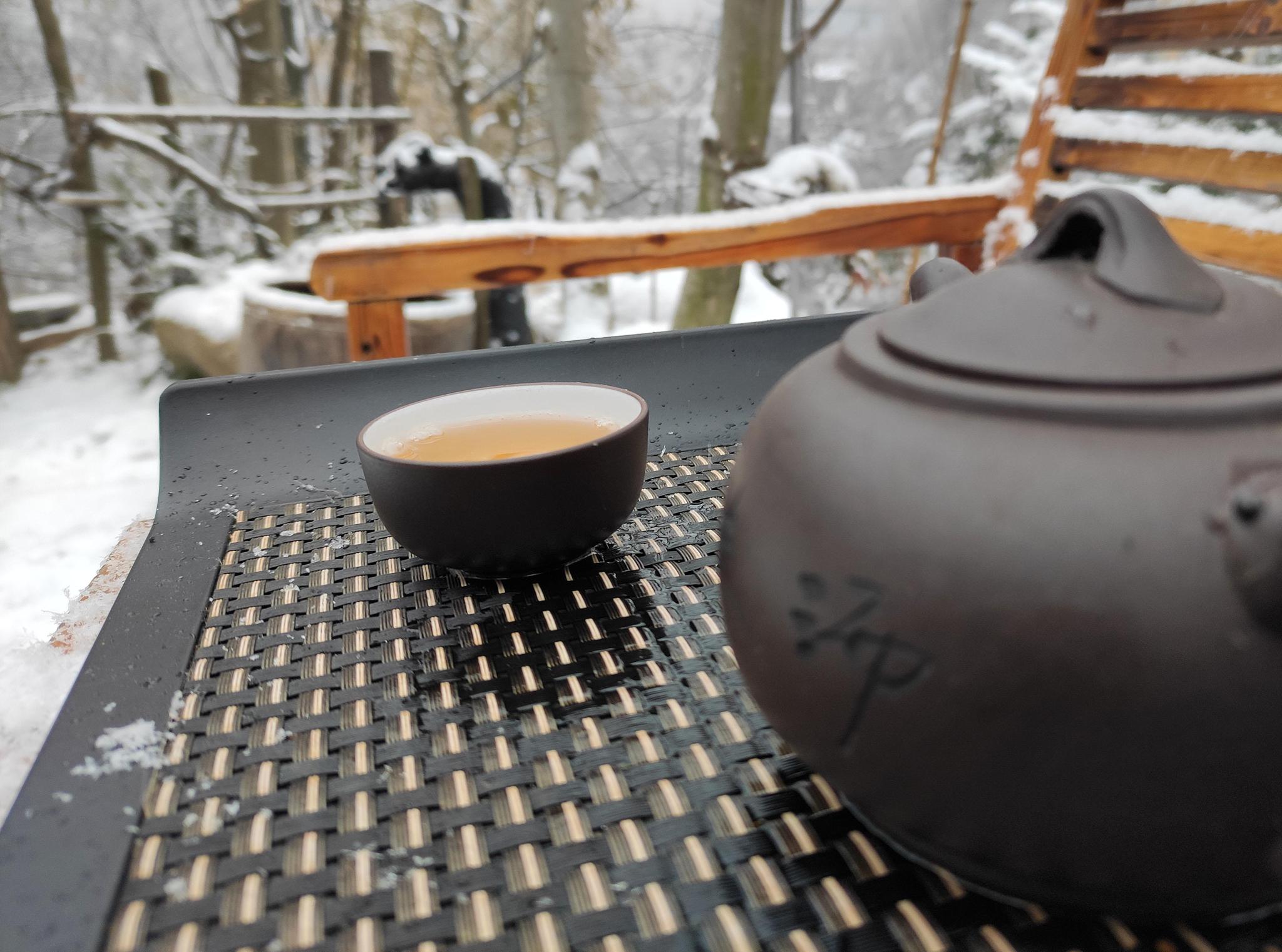 正在终南山喝茶赏雪,女儿突然带着狗狗要去隐士家玩,她能找到吗