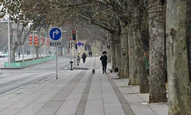 全体市民自我隔离,从海量图片看空城大连现世,了不起的大连人