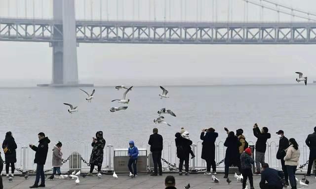 全体市民自我隔离,从海量图片看空城大连现世,了不起的大连人