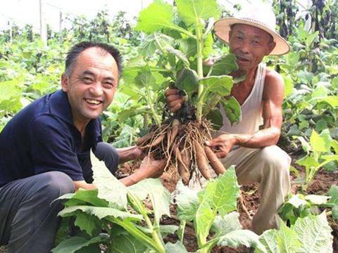 网站管理数据库