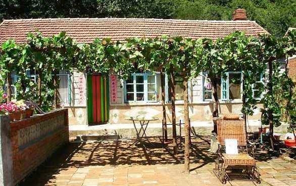 《乡村爱情》冬天的象牙山:最漂亮是刘能家,葡萄架依然是绿色