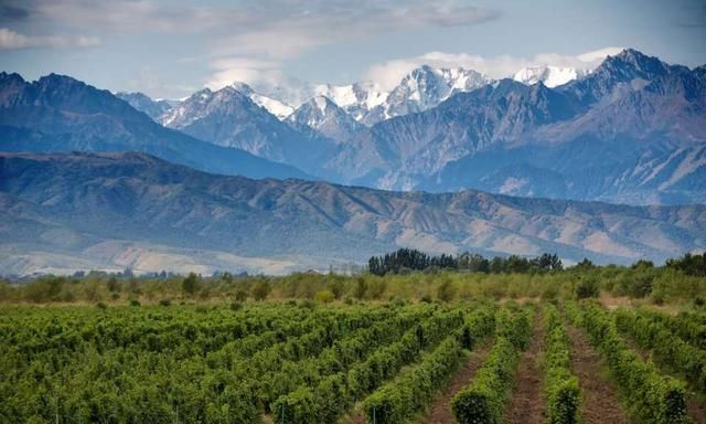 美酒之旅：如果您喜欢葡萄酒，世界上这10个目的地您不容错过！