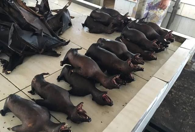 印尼美娜多,不仅是潜水圣地,更是品尝野味的好地方|野味|印尼|蟒蛇