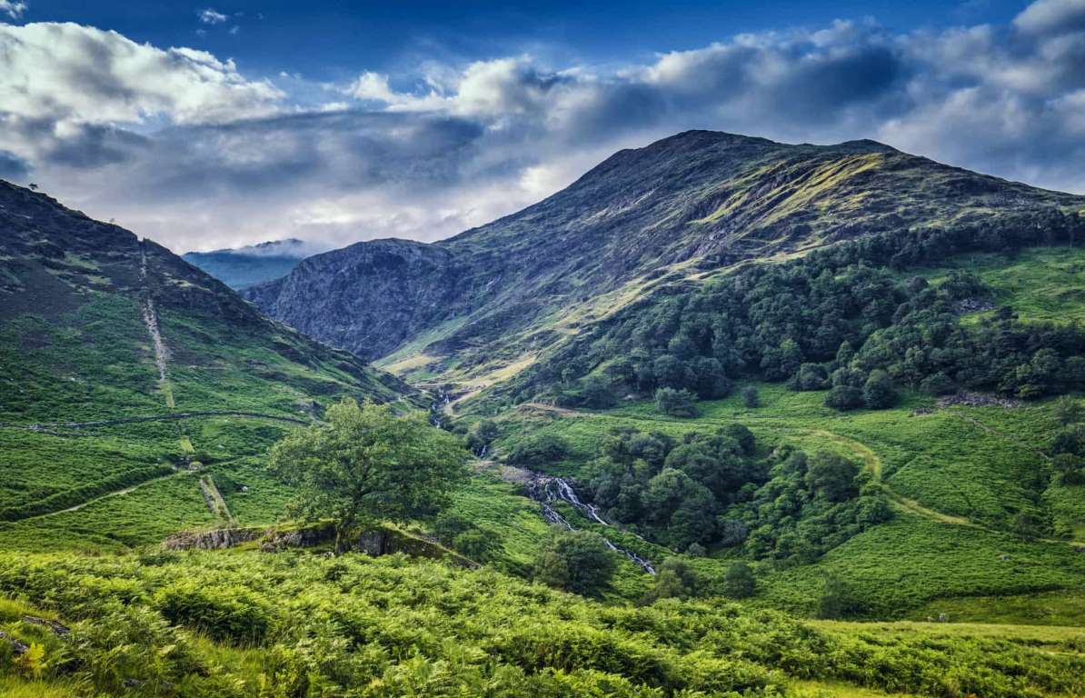 不是山谷 新浪网