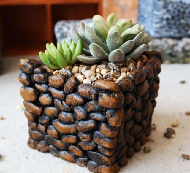 野外随手捡了鹅卵石,沾成花盆来养花,有个性又省钱