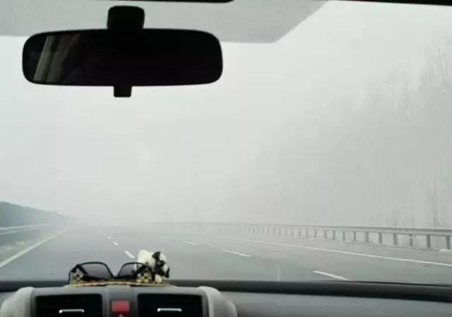 大雾天气，高速什么时候开道？司机行车应注意什么？