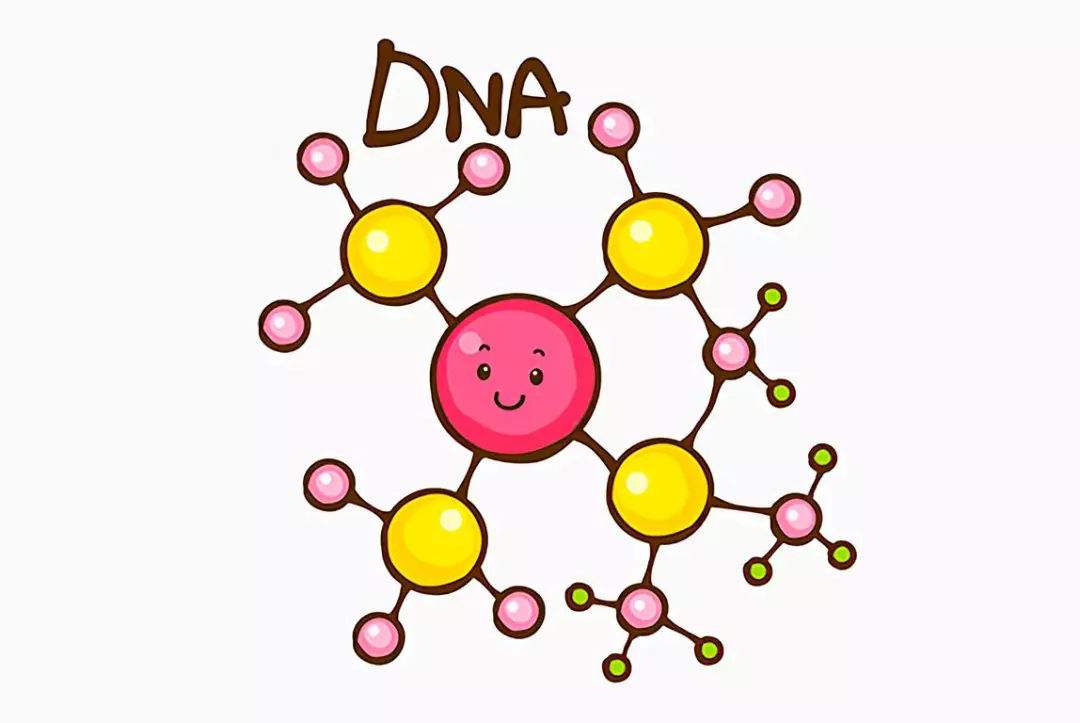 乙肝感染的预防,乙肝dna阳性,重视家庭聚集特点