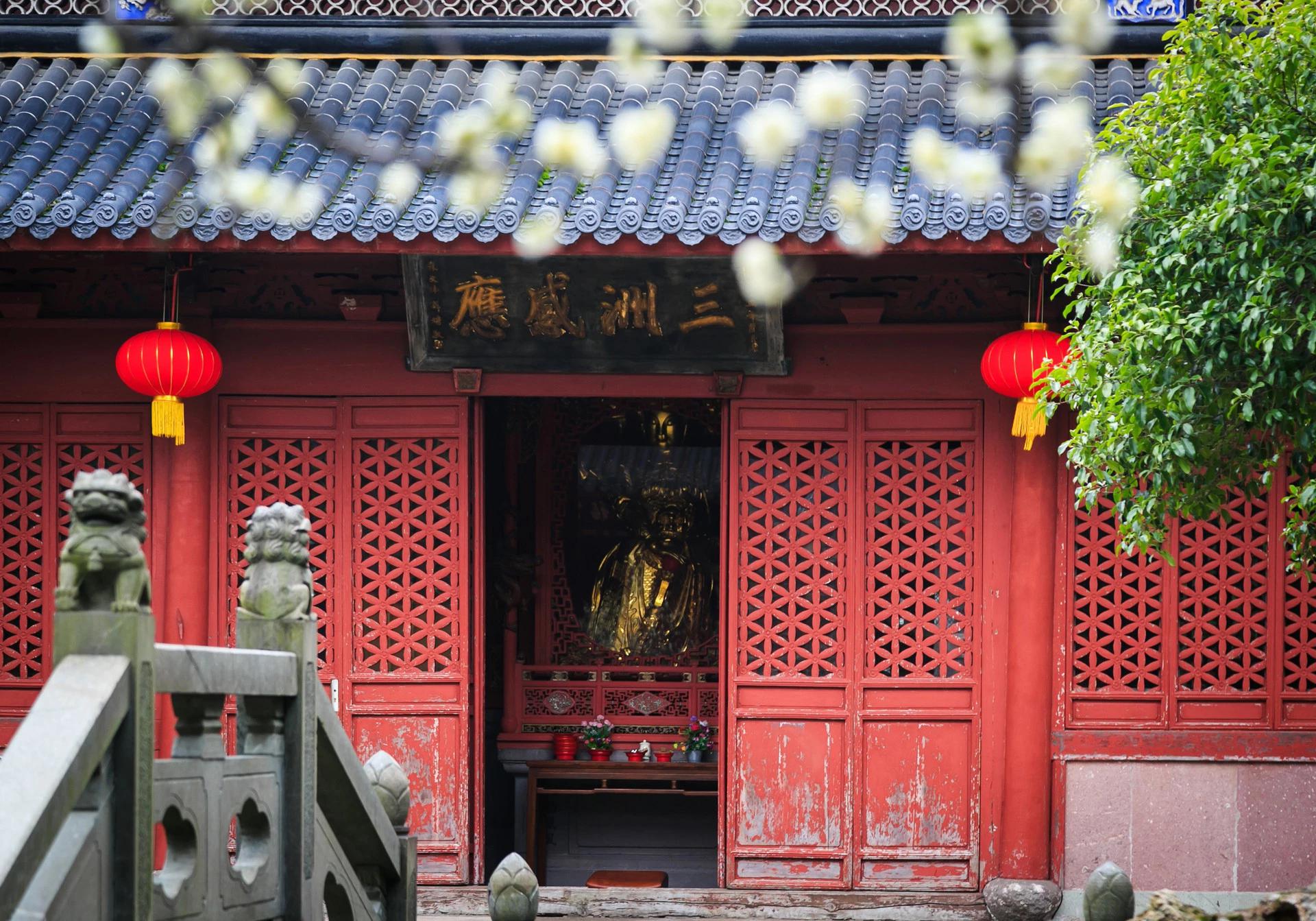 浙江舟山1390个小岛中,最有名的是它,被誉为海天佛国