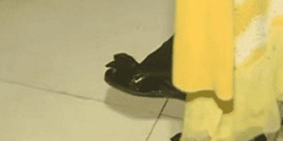 丈夫嫌弃夫妻生活太“无趣”,偷偷水中下药寻求刺激