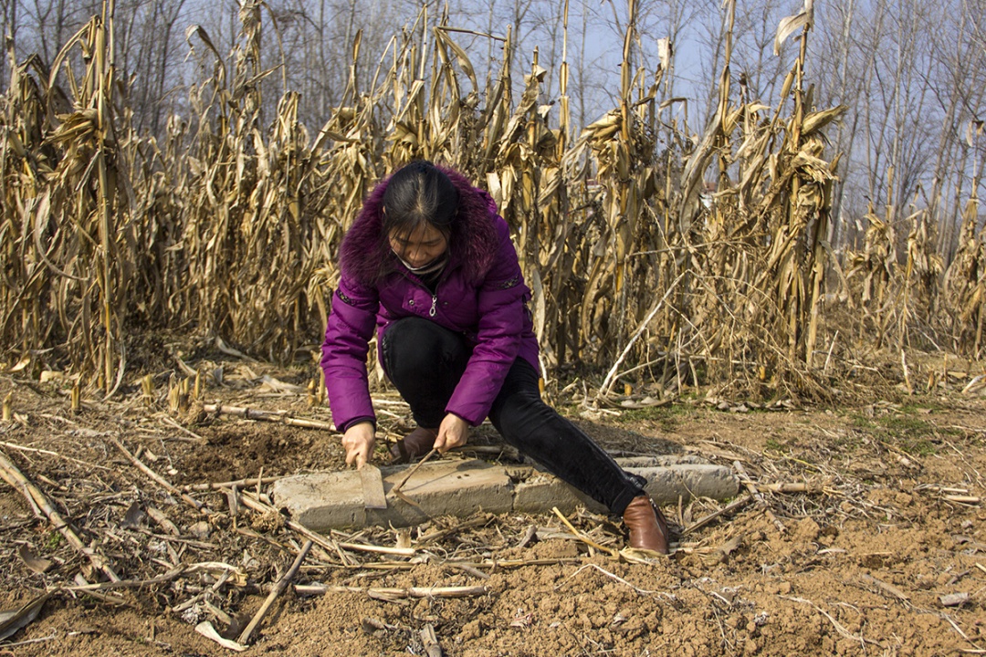 农村大姐死磕病毒,存储食物可吃一年:好习惯坚持很多年