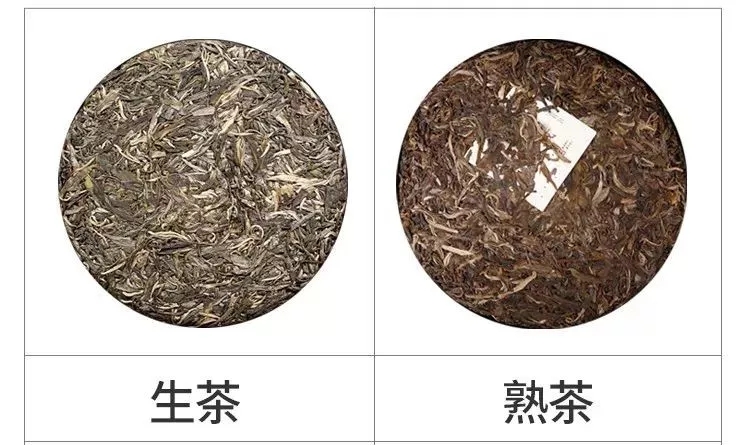 颜色之别02生茶工艺熟茶工艺普洱