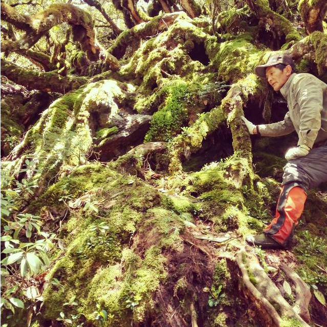 探险中国百慕大黑竹沟实拍怪雾吞人真实过程