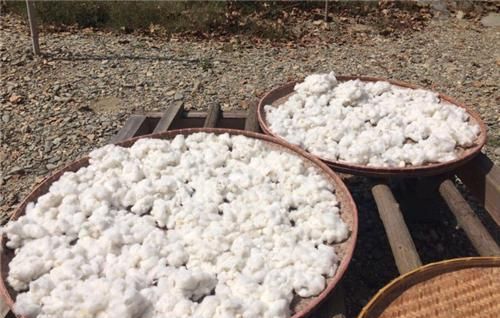 古代没有棉花时,古人睡觉靠什么保暖?富人和老百姓方法不同