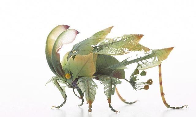 是植物,还是昆虫?精工巧匠铸造完美异形昆虫雕塑